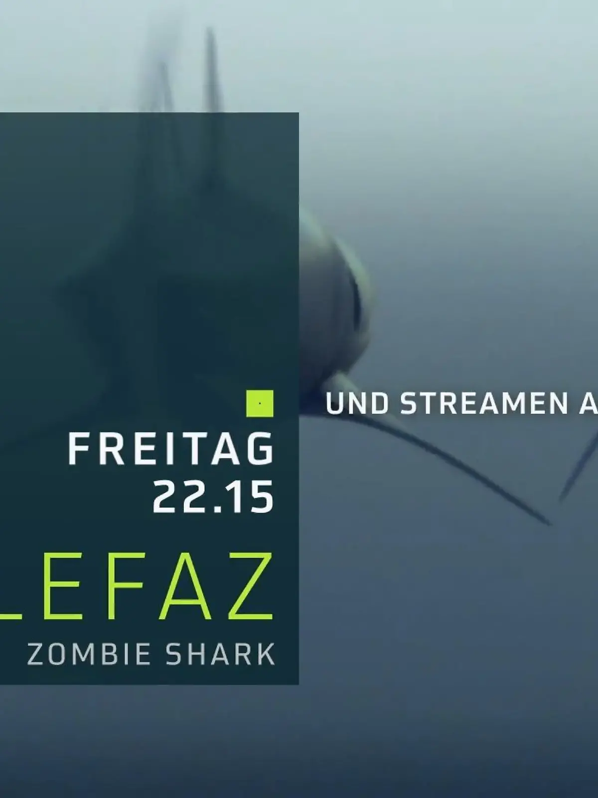 Bild zu: "Schlefaz: Zombie Shark"
