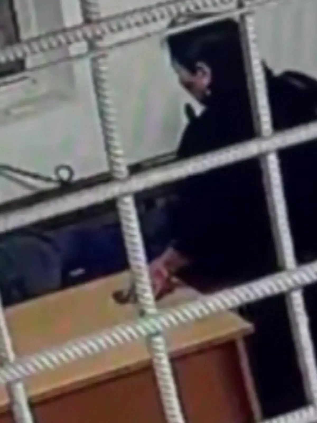 Bild zu: "Sie kommt als Opfer und geht als Täter! Frau klaut Handy im Polizeirevier"