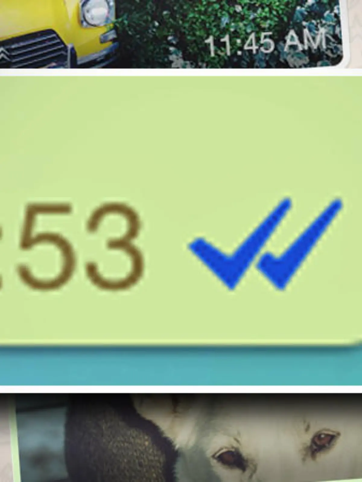 whatsapp-hkchen