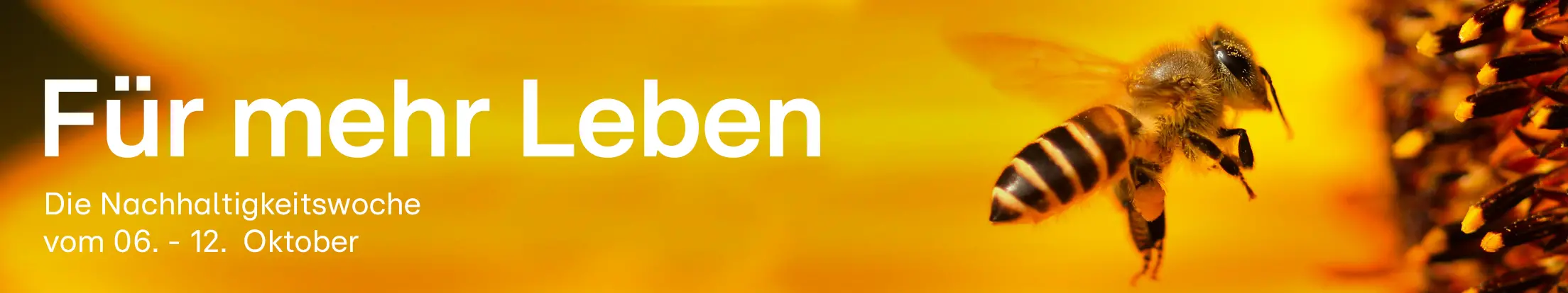Header_Nachhaltigkeitswoche2025_Desktop.jpg