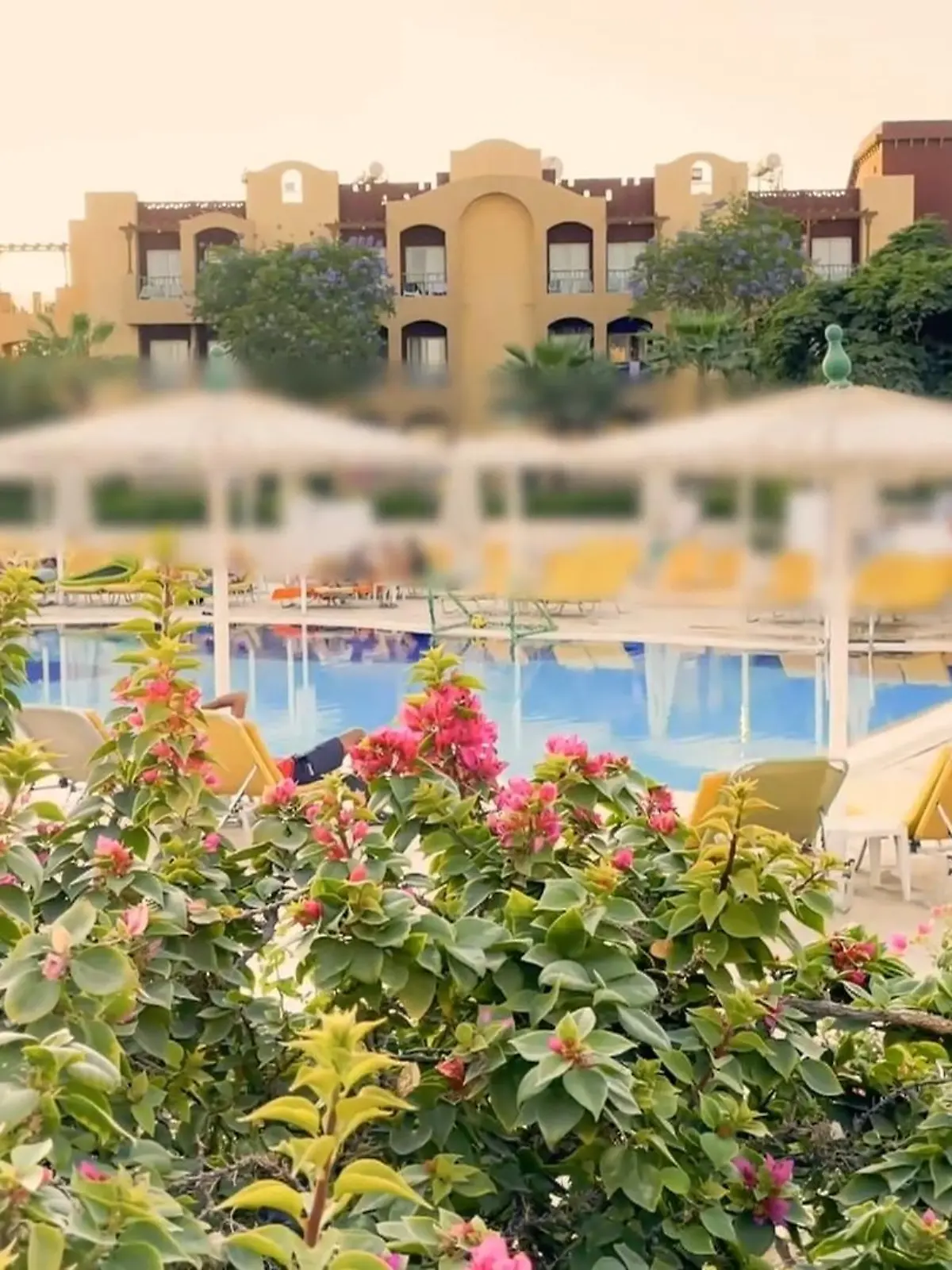 In dem 3-Sterne-Hotel „Lemon & Soul“ in Hurghada kommt es offenbar zu ernsthaften Hygienemängeln. 