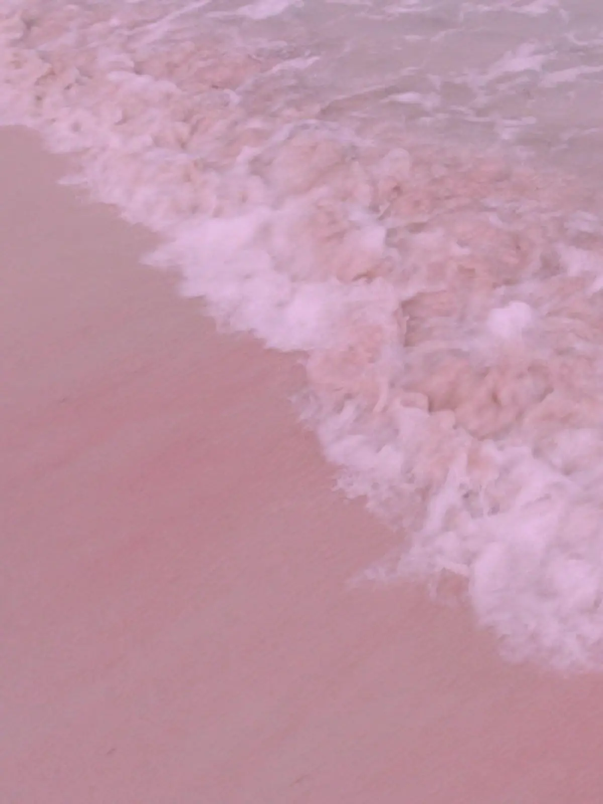 Bild zu: "Das steckt hinter dem „Pink Beach” auf Mallorca!"
