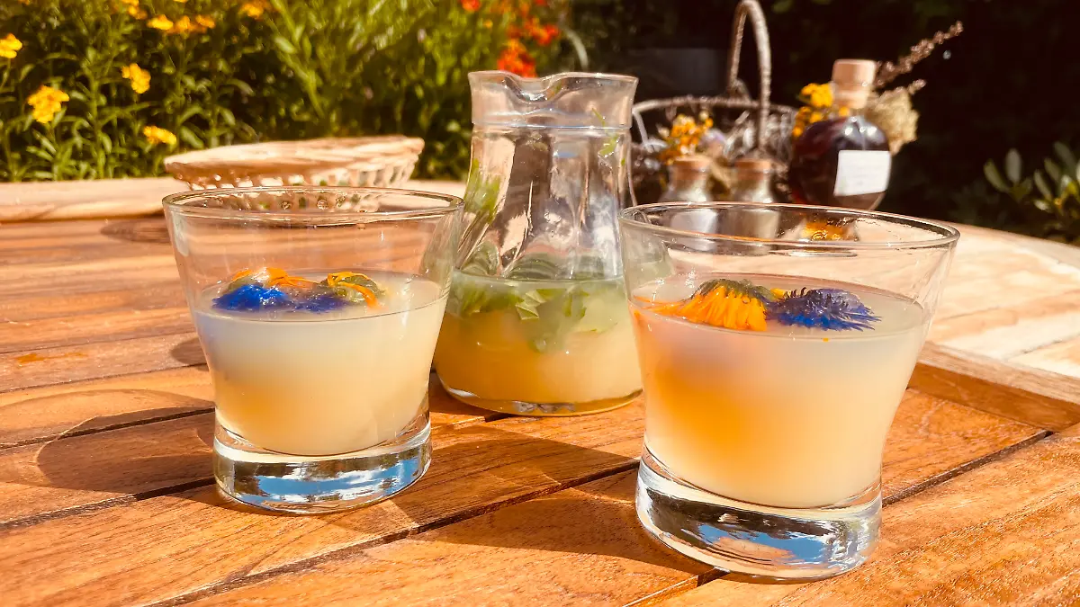 Besonders hübsch sieht die Limonade mit gefrorenen Blütenblättern aus.