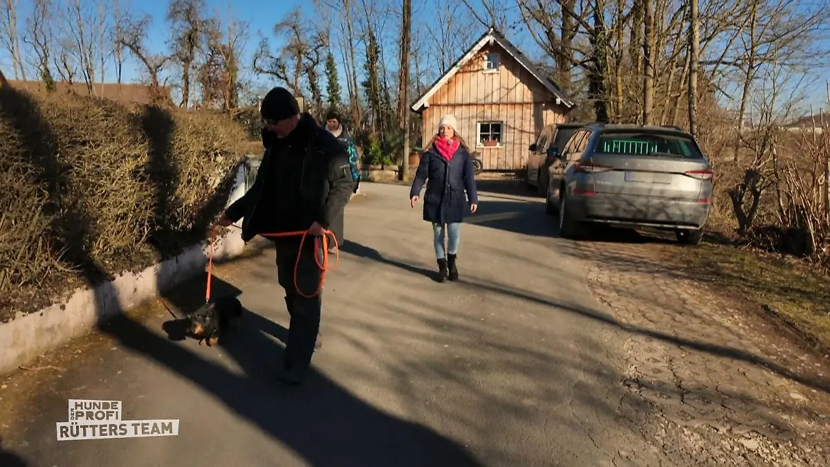 Bobby macht Fortschritte beim Spaziergang Dackelt hinterher