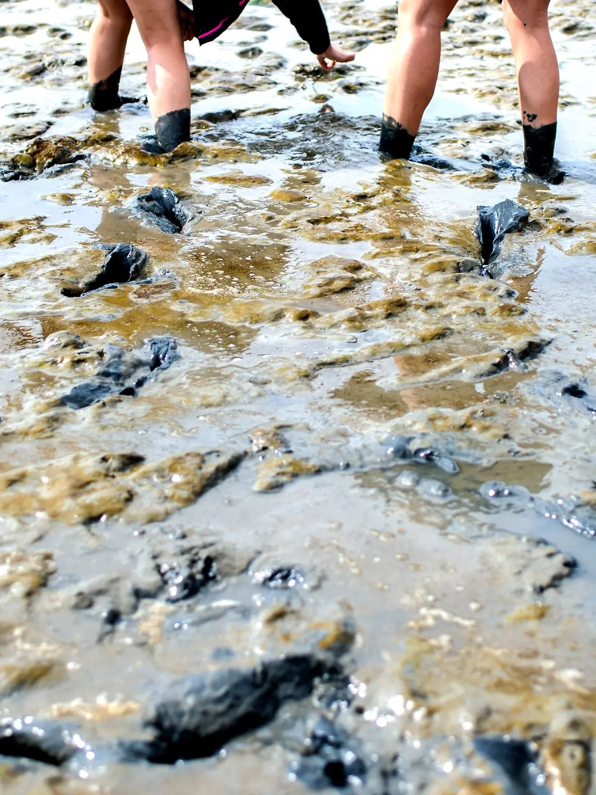 Bild zu: "Tourist sinkt hüfttief in Wattenmeer-Schlick ein"