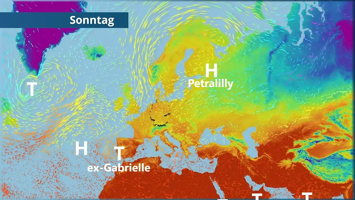 Hoch Petralilly macht den Sonntag schön Der Strömungsfilm für Europa für 5 Tage