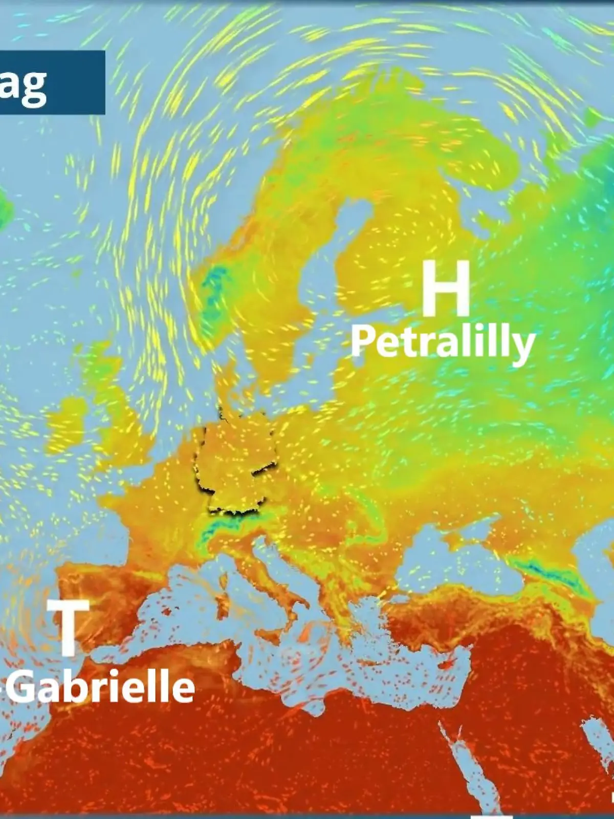 Bild zu: "Hoch Petralilly macht den Sonntag schön"