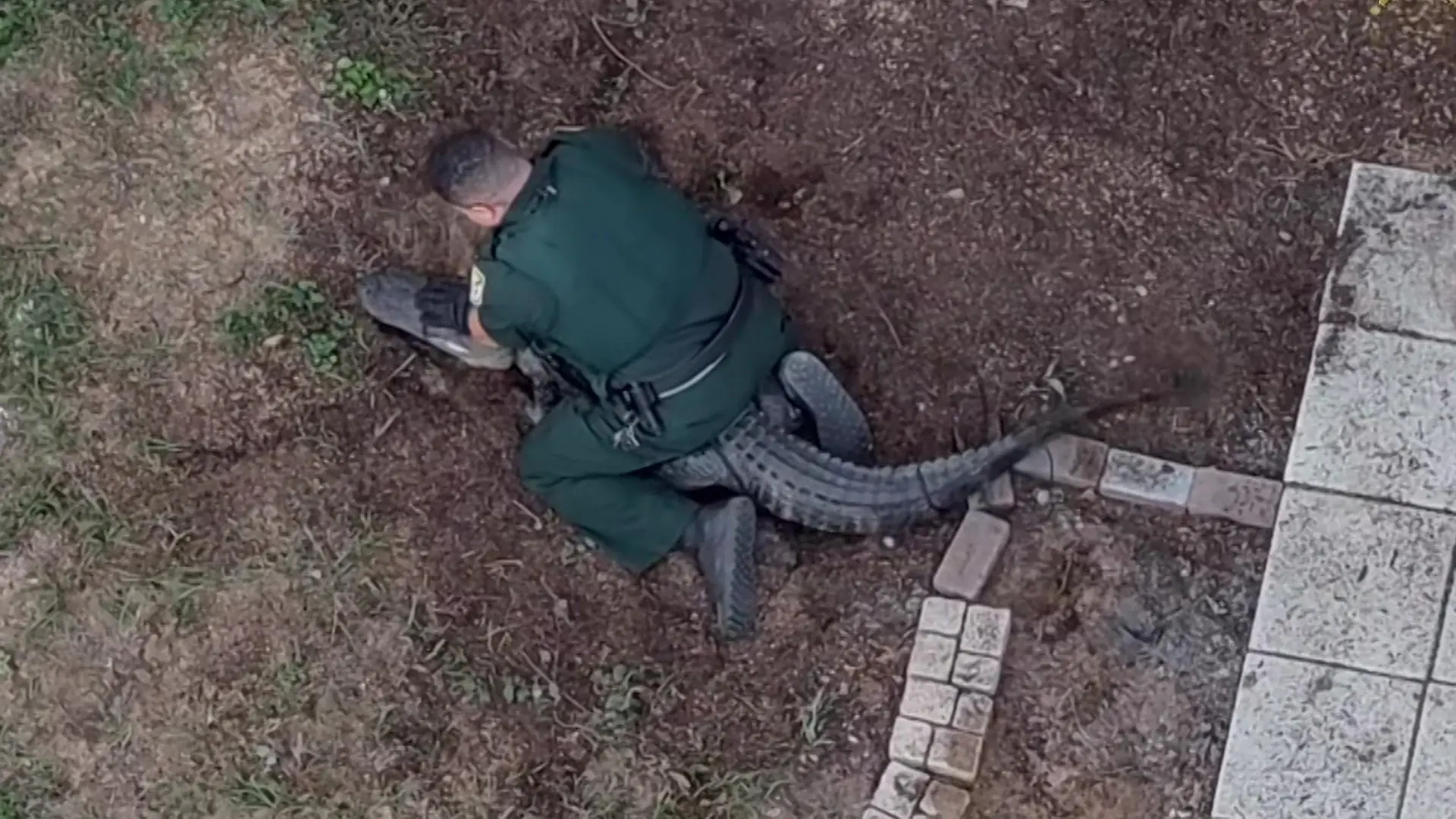 Einsatz sorgt für Schnapp-Atmung! Polizist wirft sich auf Alligator Hier gibt’s Klebeband statt Handschellen!