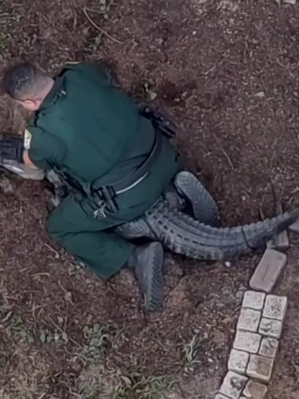 Bild zu: "Einsatz sorgt für Schnapp-Atmung! Polizist wirft sich auf Alligator"