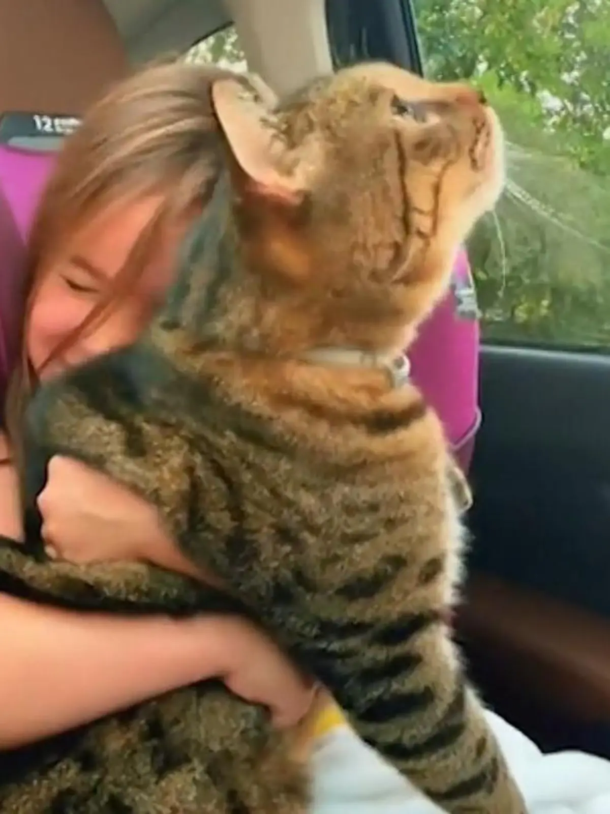 Bild zu: "Wie süß?! Mädchen will tierisch besten Freund zum Ballett schmuggeln"