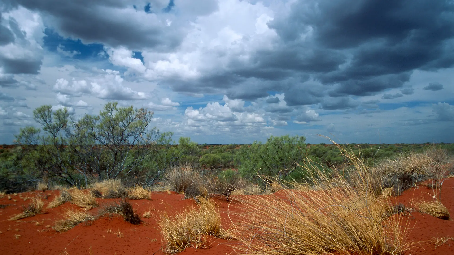 Weites, raues Outback in Südaustralien – in dieser abgelegenen Gegend sucht die Polizei nach dem vierjährigen Gus. (Symbolbild)