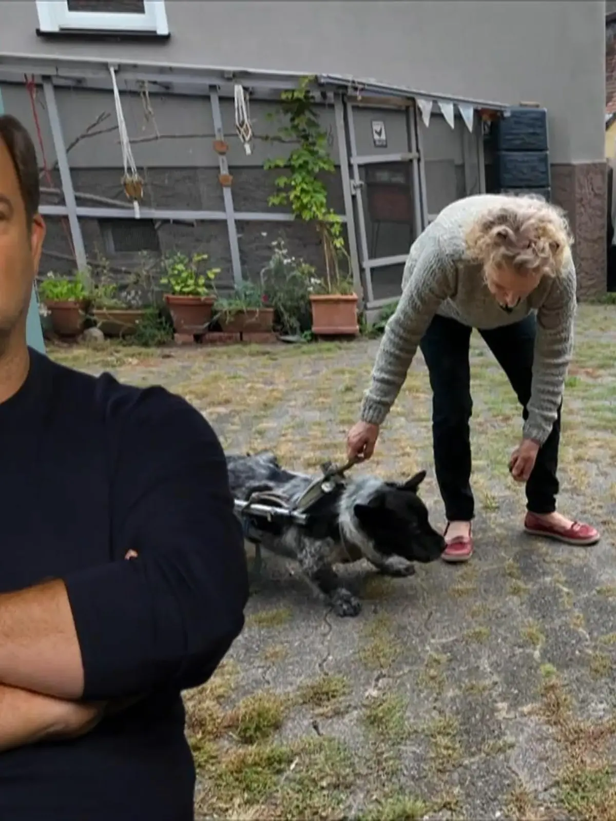 Bild zu: "Hündin Jelle kennt kein Ende beim Bellen"