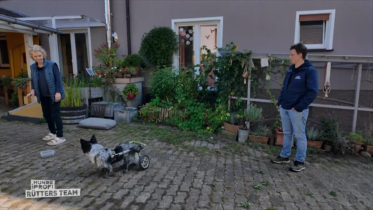 Marcel nimmt sich Zeit für Jelle Rollihund Jelle bellt alles an