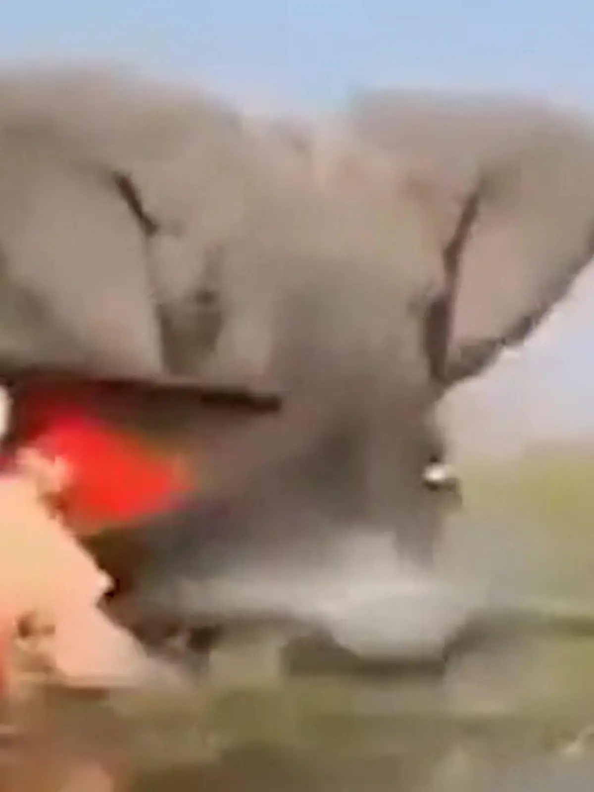 Bild zu: "Elefantenbulle geht auf Touristen los – Safari-Guides lassen sie einfach im Stich"