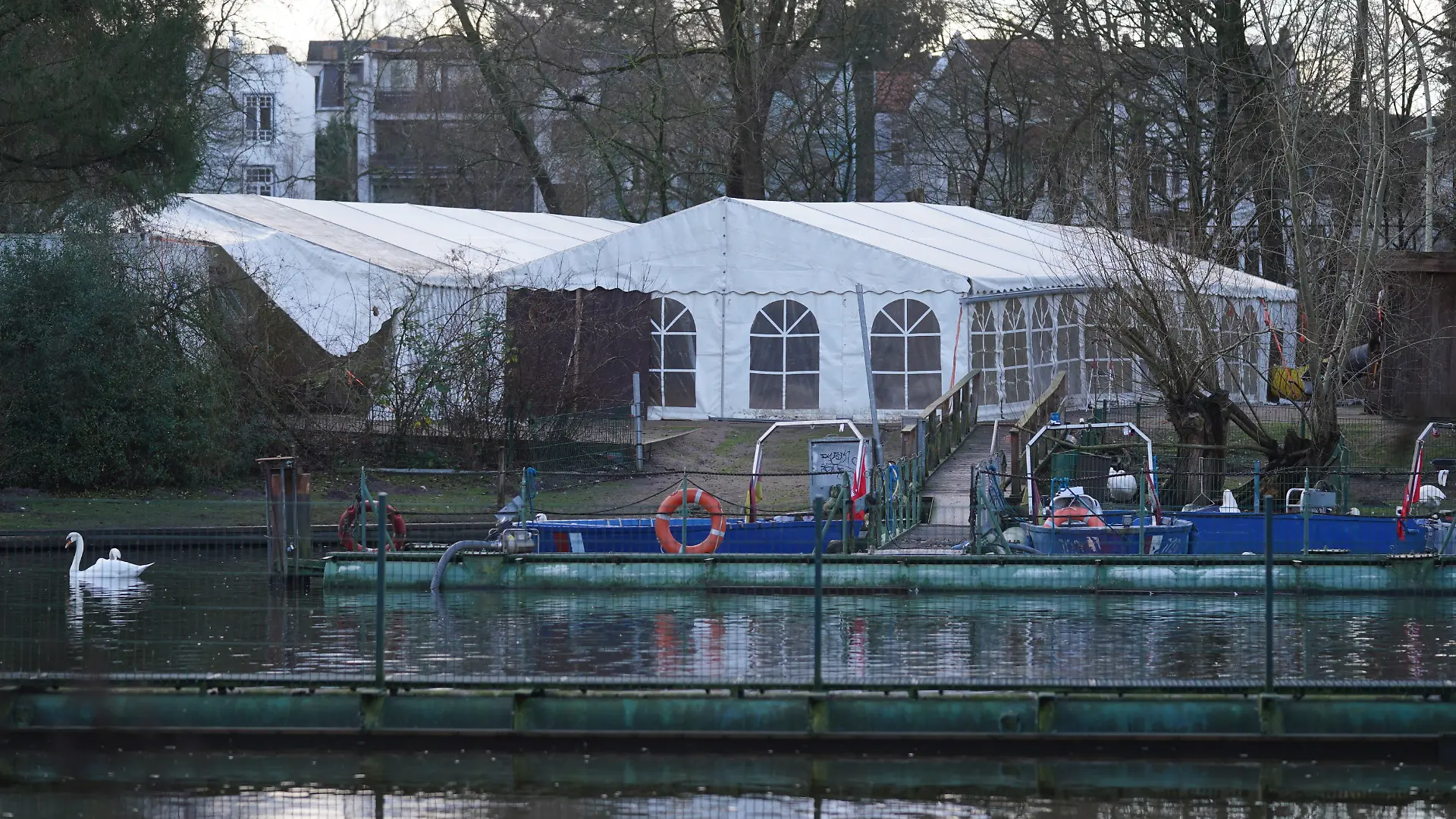 Zwei Zelte stehen für die Alsterschwäne im Winterquartier am Eppendorfer Mühlenteich.
