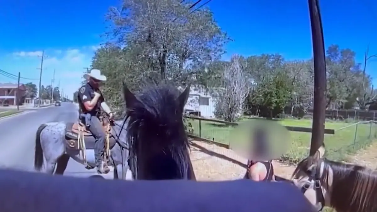 PFERDfolgungsjagd! Nach diesem Witz flüchtet Verdächtiger vor der Polizei Ganz nach Texas-Manier