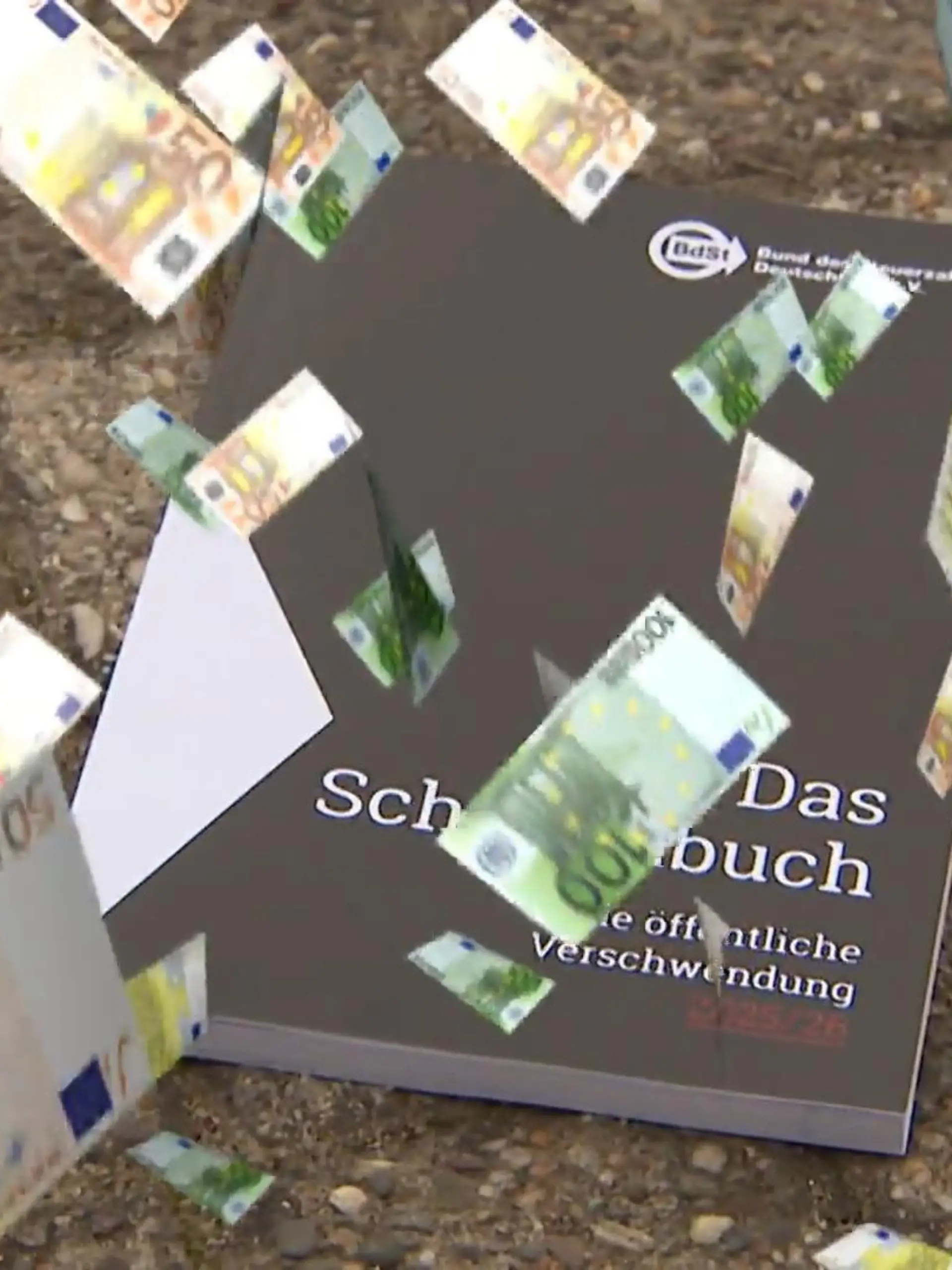Bild zu: "NRW-Fälle von Steuerverschwendung im Schwarzbuch"