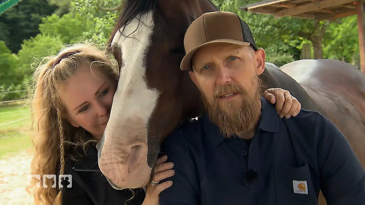 Jenny und Peer zeigen, wie Nähe zu Pferden gelingt Sanfte Riesen