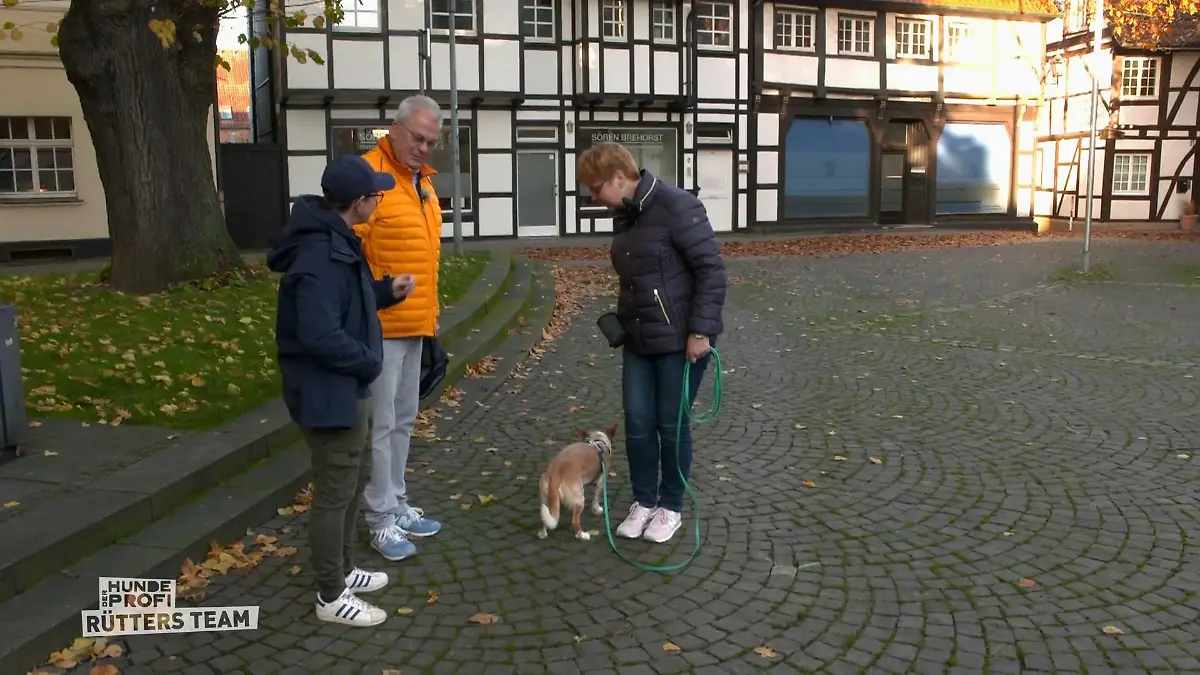 Melle überprüft Lous Fortschritte im Training Vertrauen aufbauen