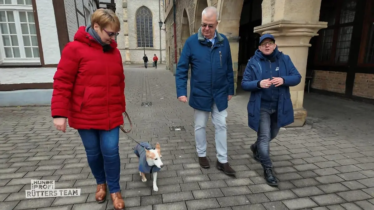 Lou zeigt deutliche Fortschritte beim Training Positive Entwicklung