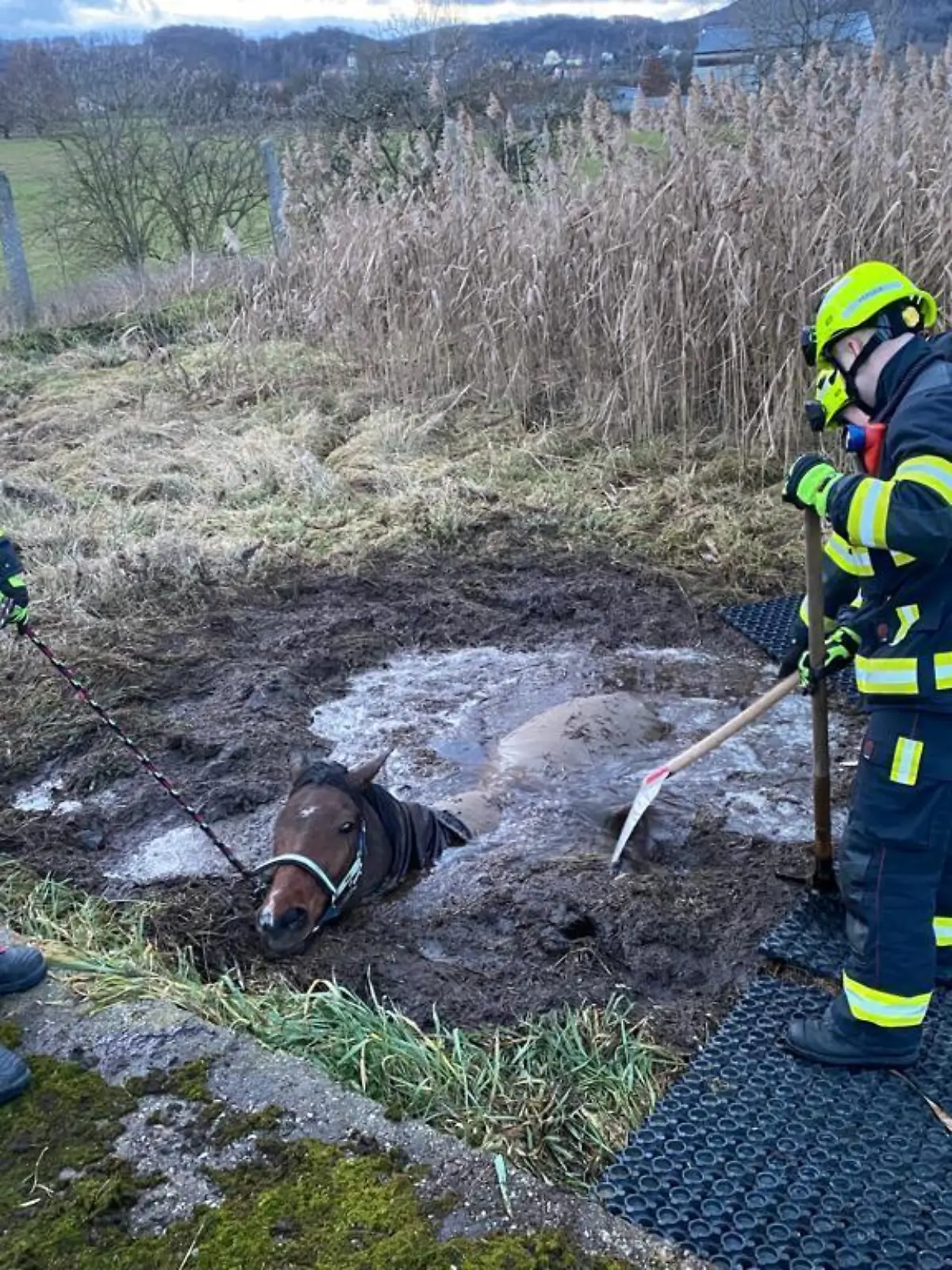Rettung eines Pferdes in Žalany