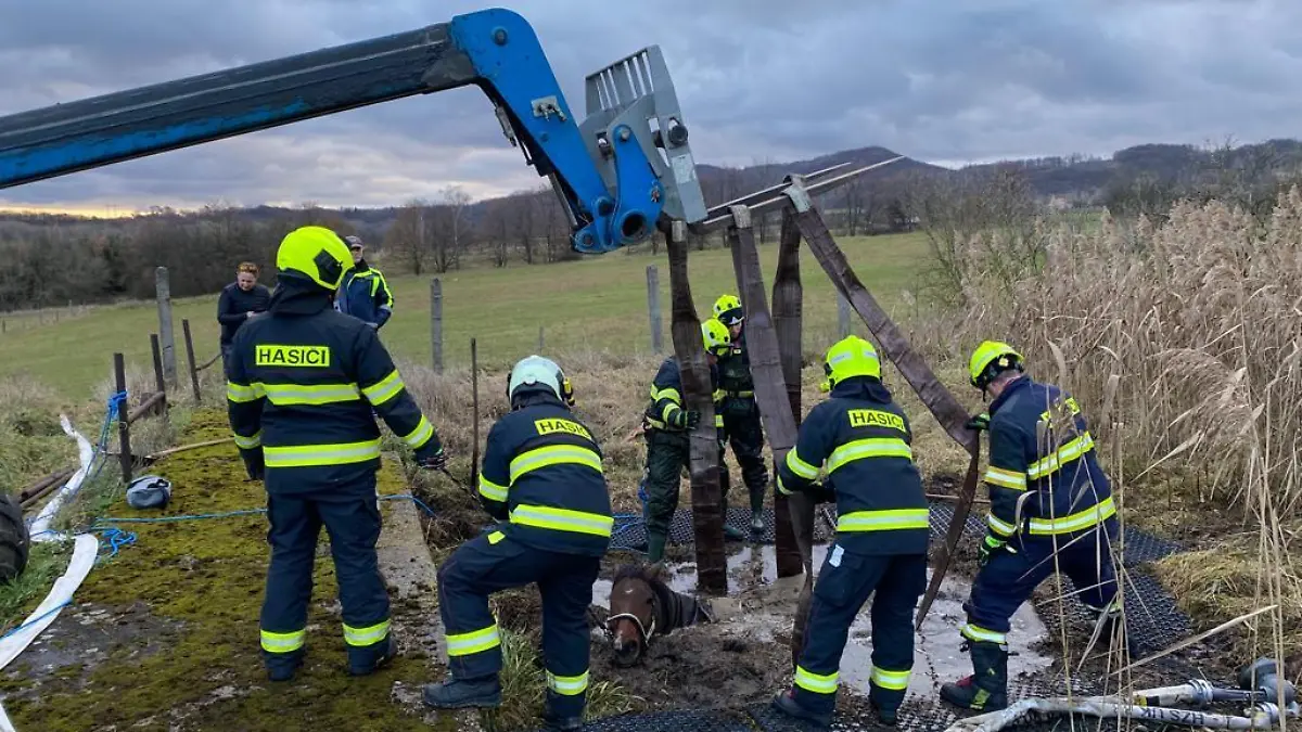 Die Einsatzkräfte fuhren nach Žalany auf Teplicka, wo das Pferd auf der Koppel ins Wasser und in den Schlamm fiel.
