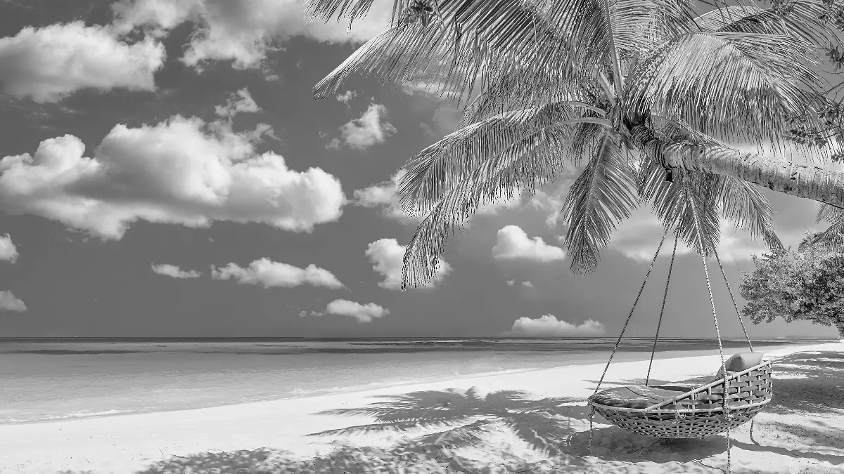 epi_1000466569_ADOBE FOTO STOCK_499471293_Strand Panorama als .jpeg