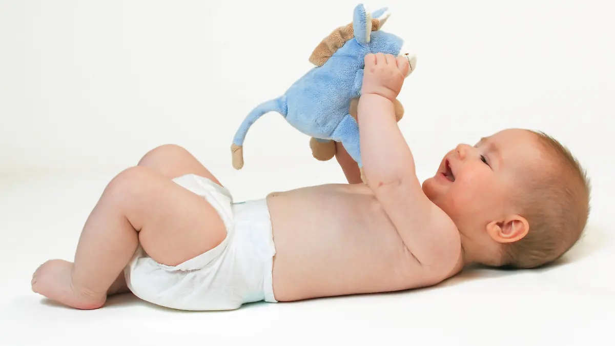 Baby auf Ruecken liegend, spielt mit Stofftier | Baby lying on back, playing with soft toy