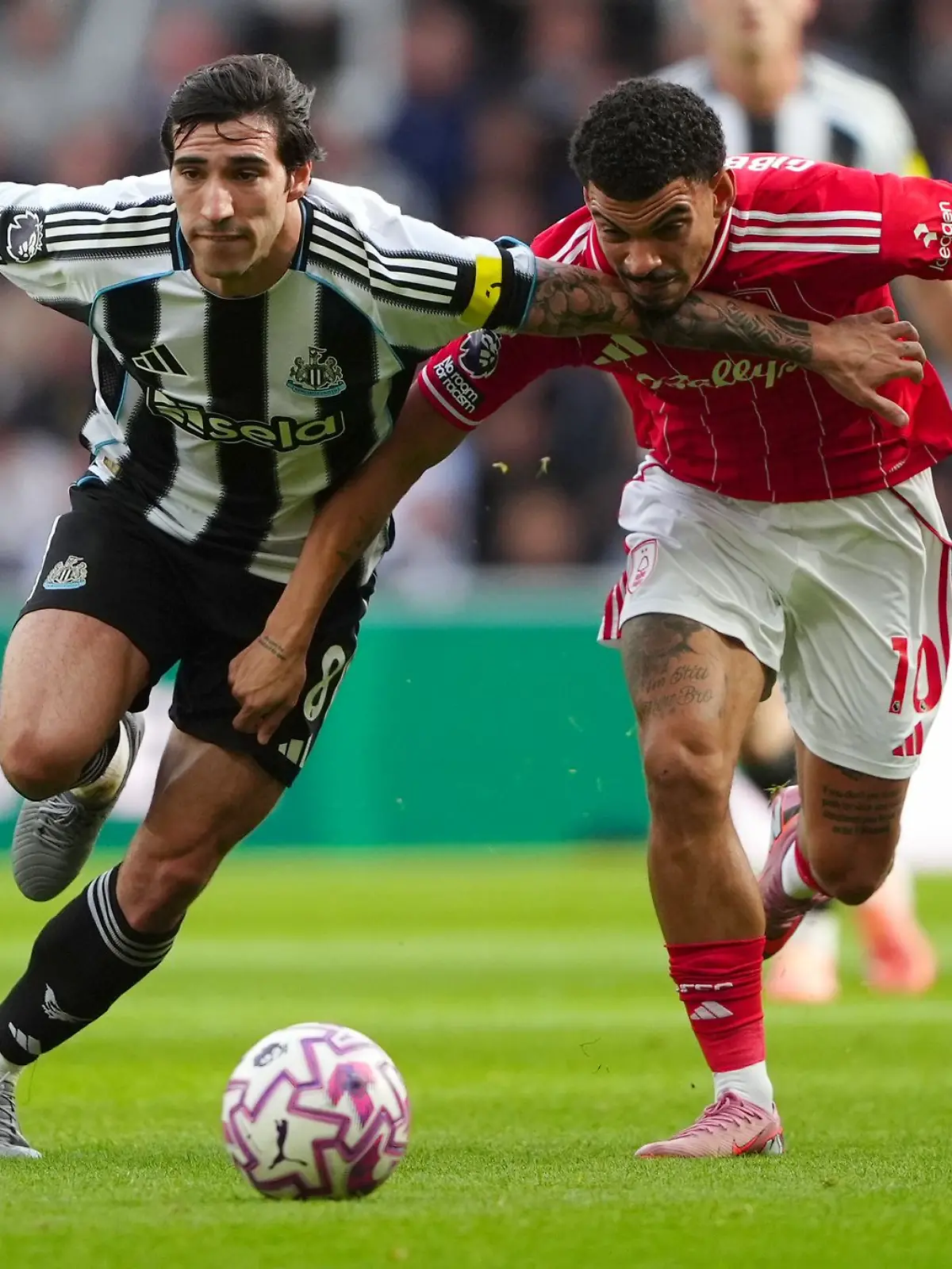 Bild zu: "Woltemade schießt Newcastle zum Sieg"