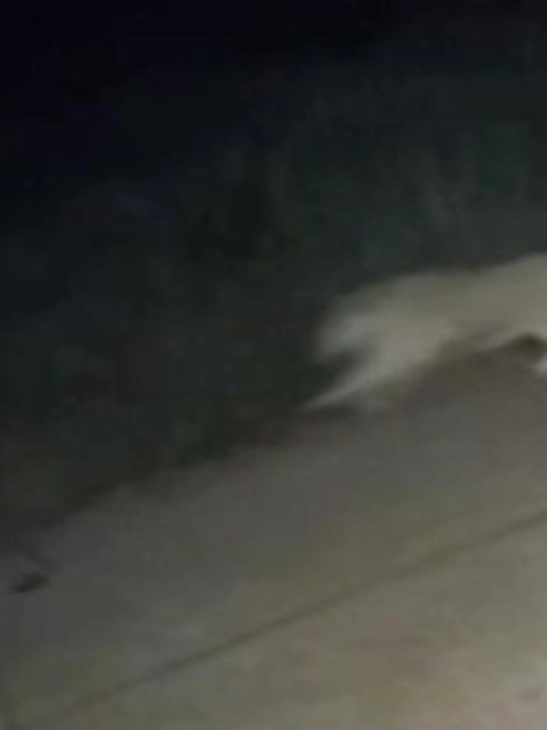 Bild zu: "Ausgebrochener Löwe attackiert Jungen (11) auf dem Heimweg vom Spielen
"