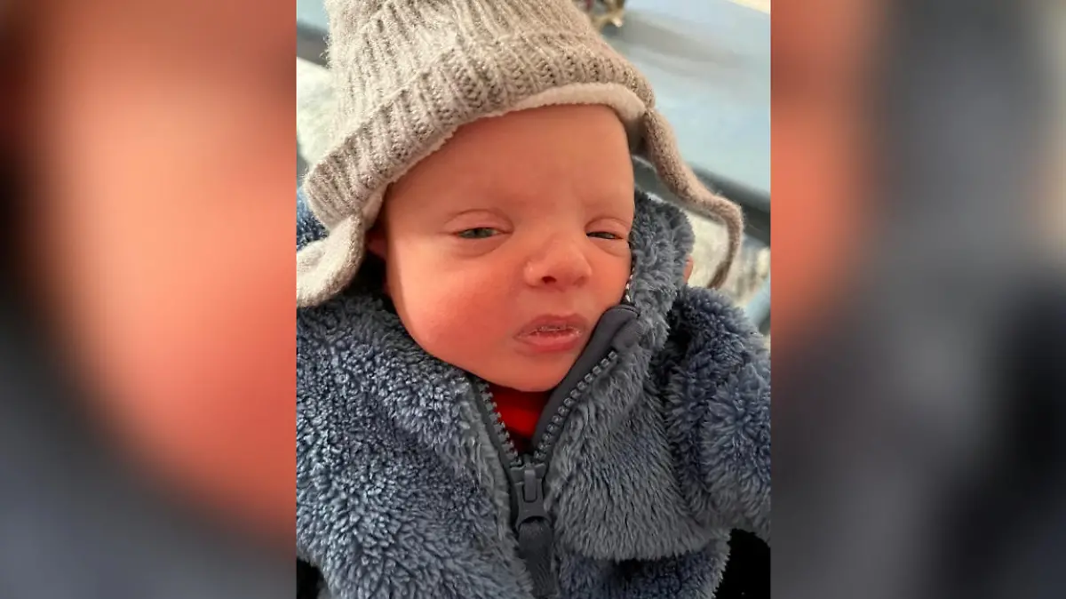 Der kleine Zander