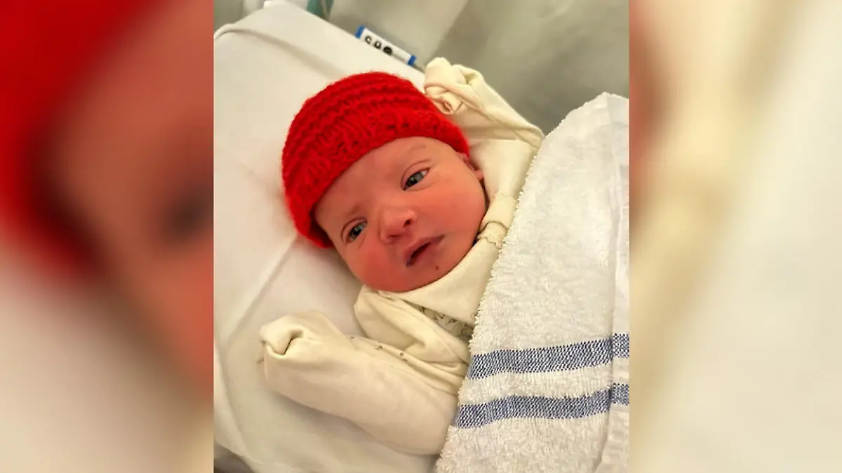 Zander im Krankenhaus