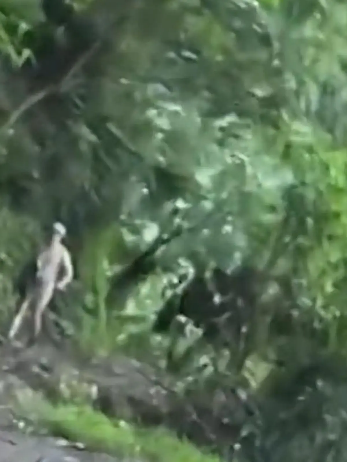 Bild zu: "Nackter Mann verfolgt junge Frauen im Wald – aus DIESEM Grund!"