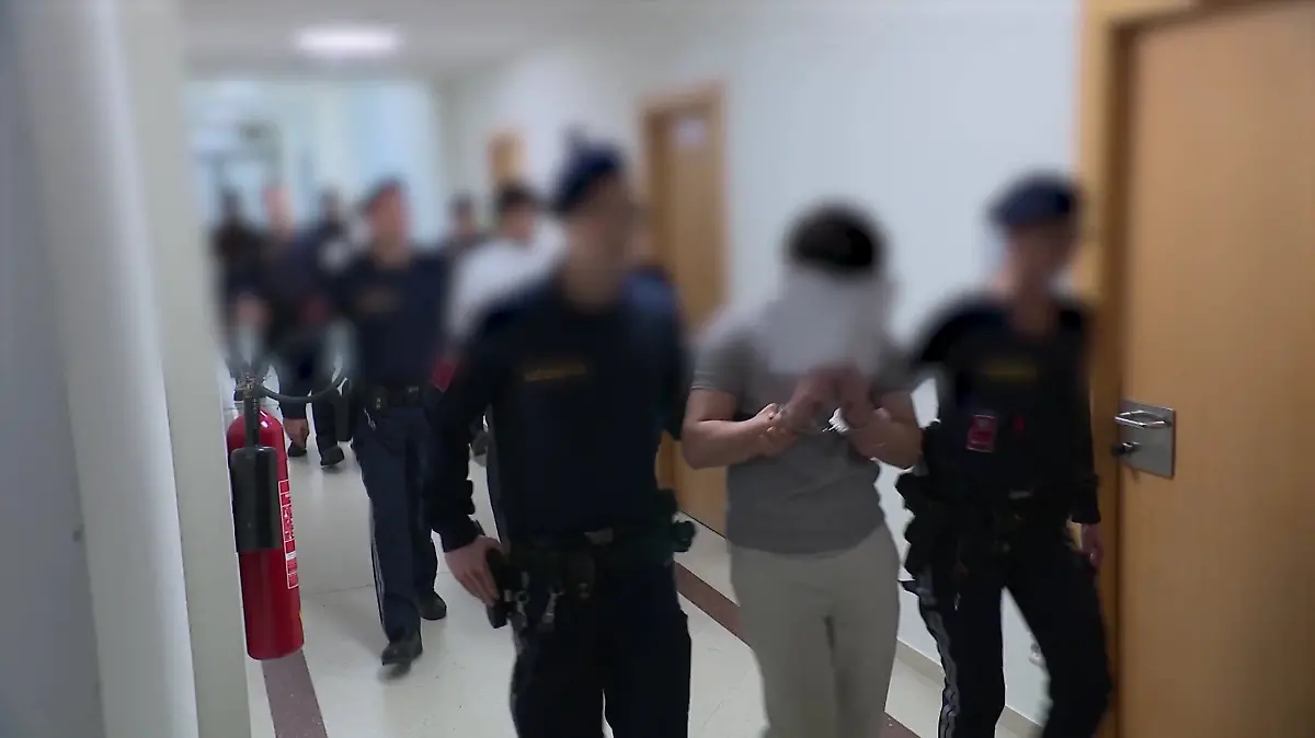 Die Wiener Jugendgang steht wegen Missbrauchs-Vorwürfen an einer Lehrerin vor Gericht.