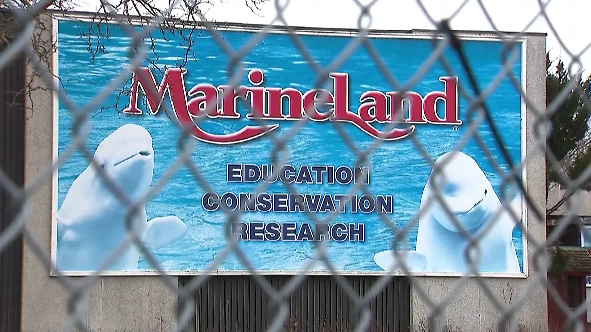 Der Park Marineland musste im vergangenen Jahr schließen. 