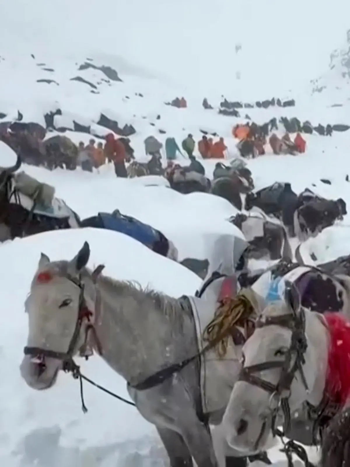 China Everest Hikers Trapped