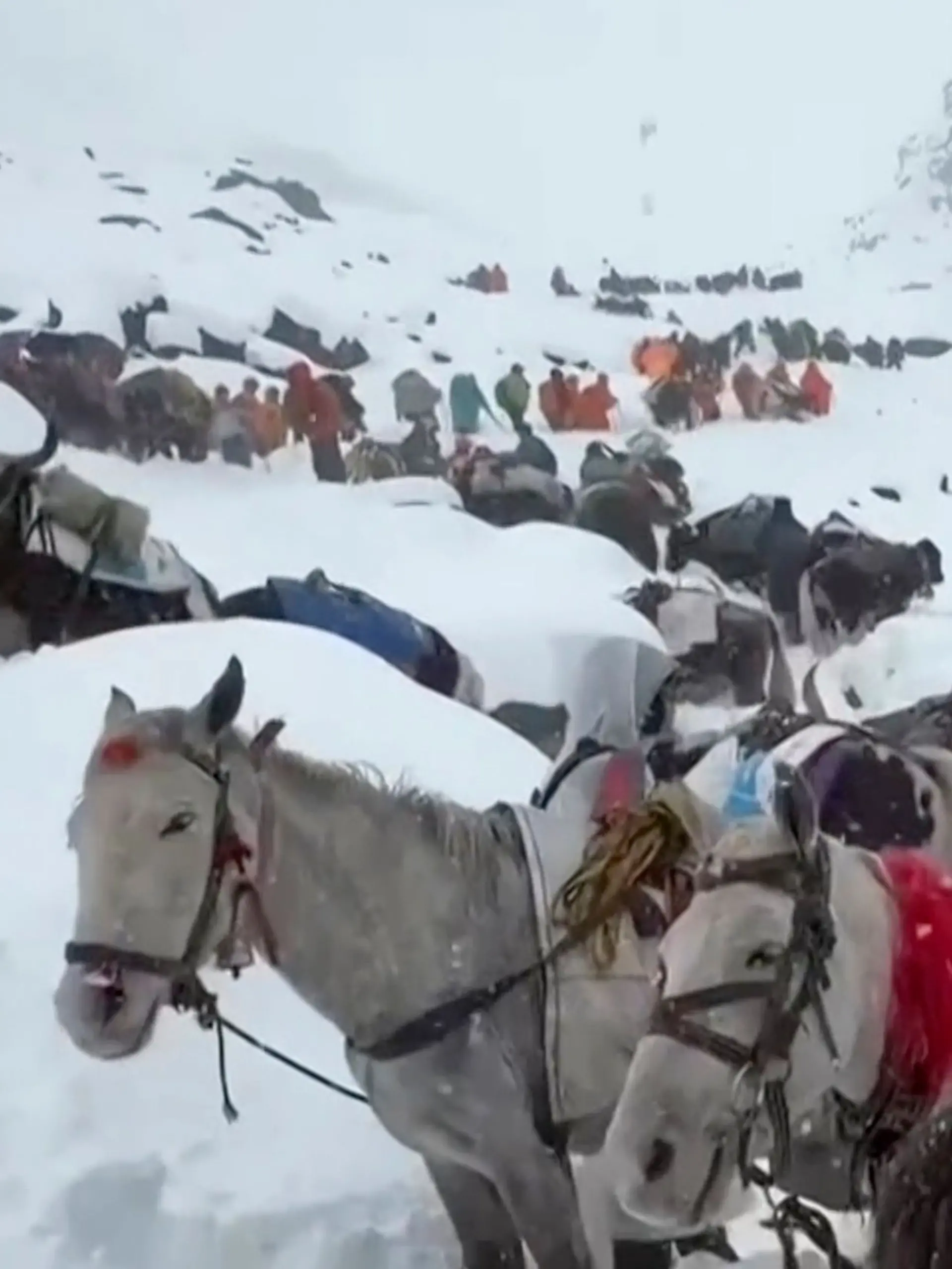 China Everest Hikers Trapped