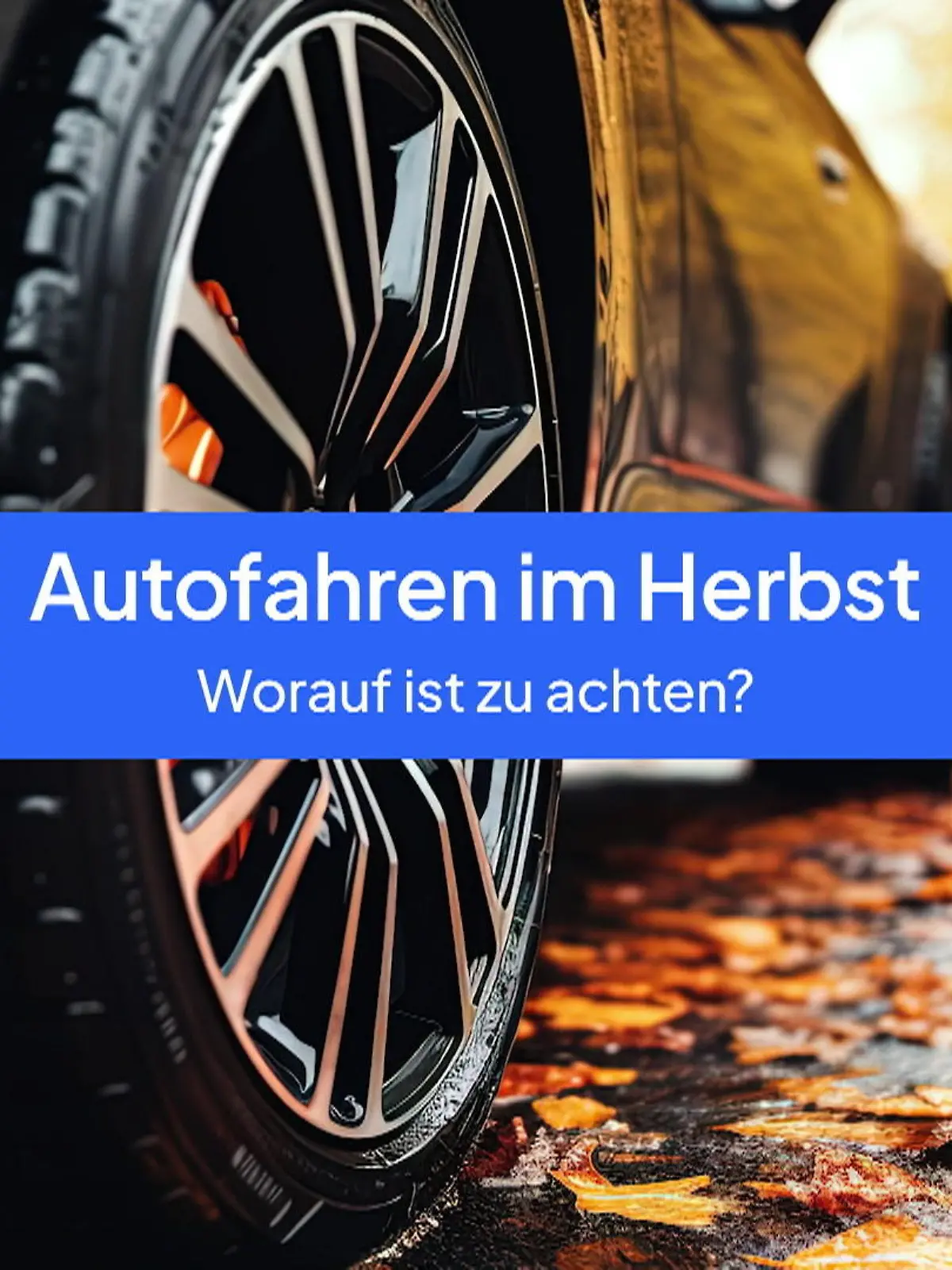 Bild zu: "Tipps gegen die Gefahren beim Autofahren"