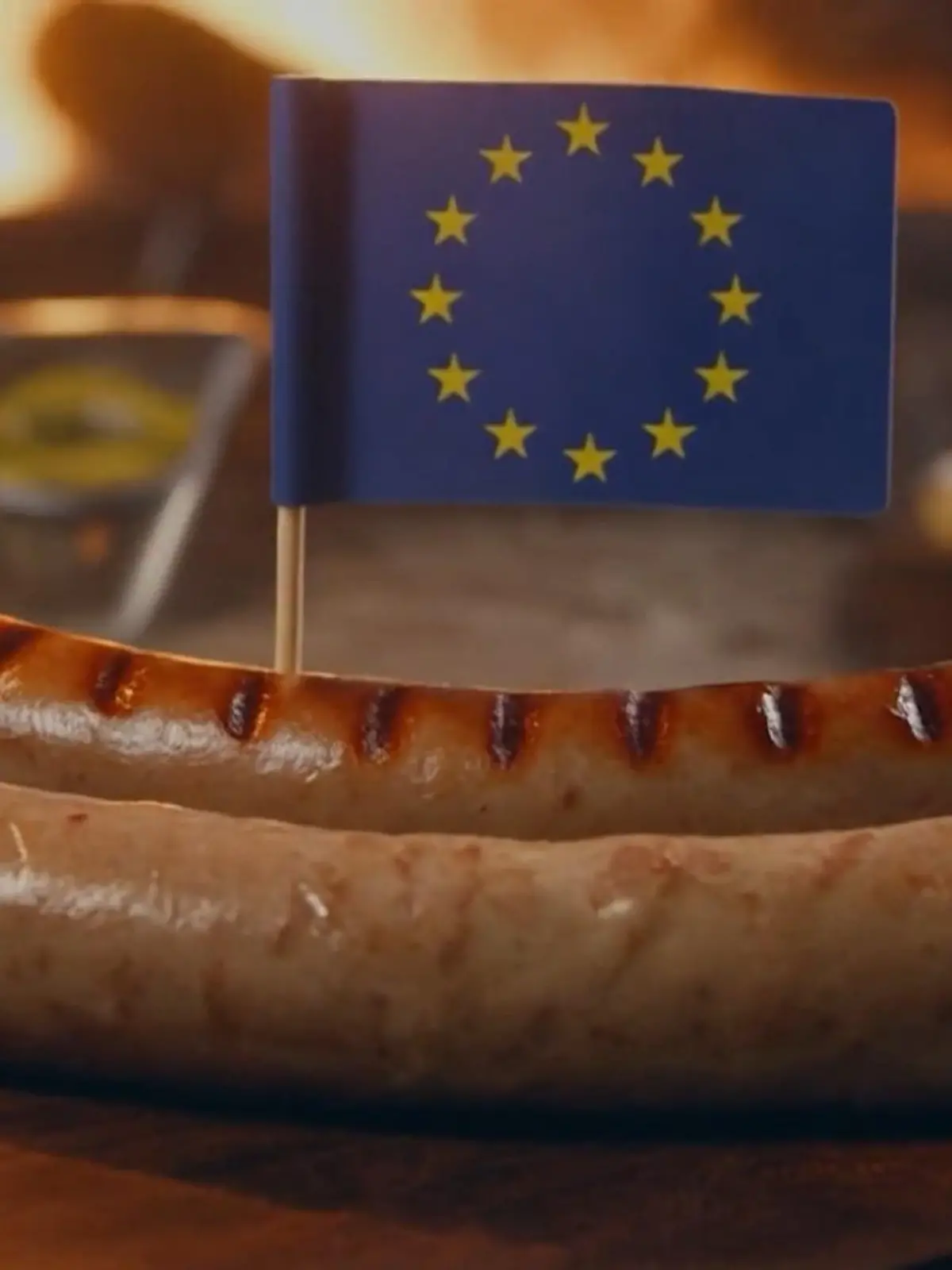 Bild zu: "Aus für Veggie-Burger, Tofu-Wurst & Co! EU-Abgeordnete stimmen für Verbot"
