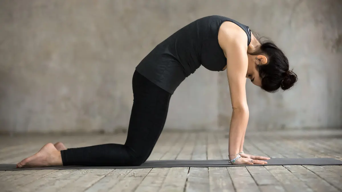 Junge Frau im Vierfüßlerstand macht Yoga-Übung.