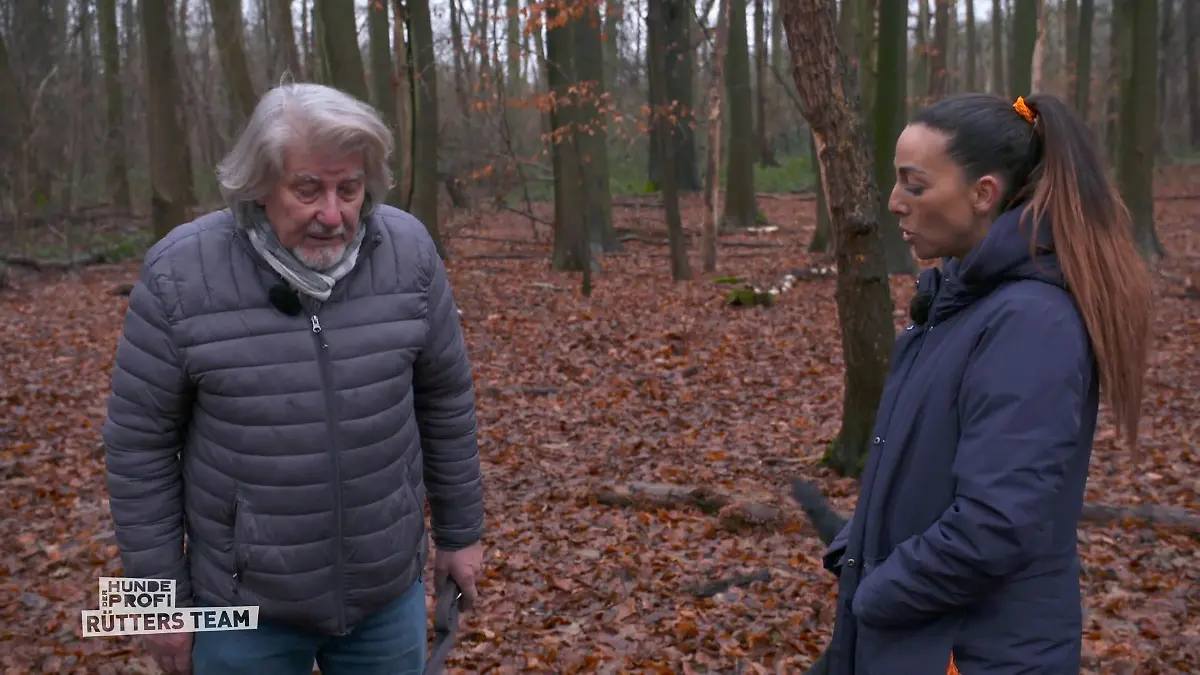 Rico zeigt kaum Fortschritte – Martin Rütter sorgt sich um Fred Schwierige Entscheidung