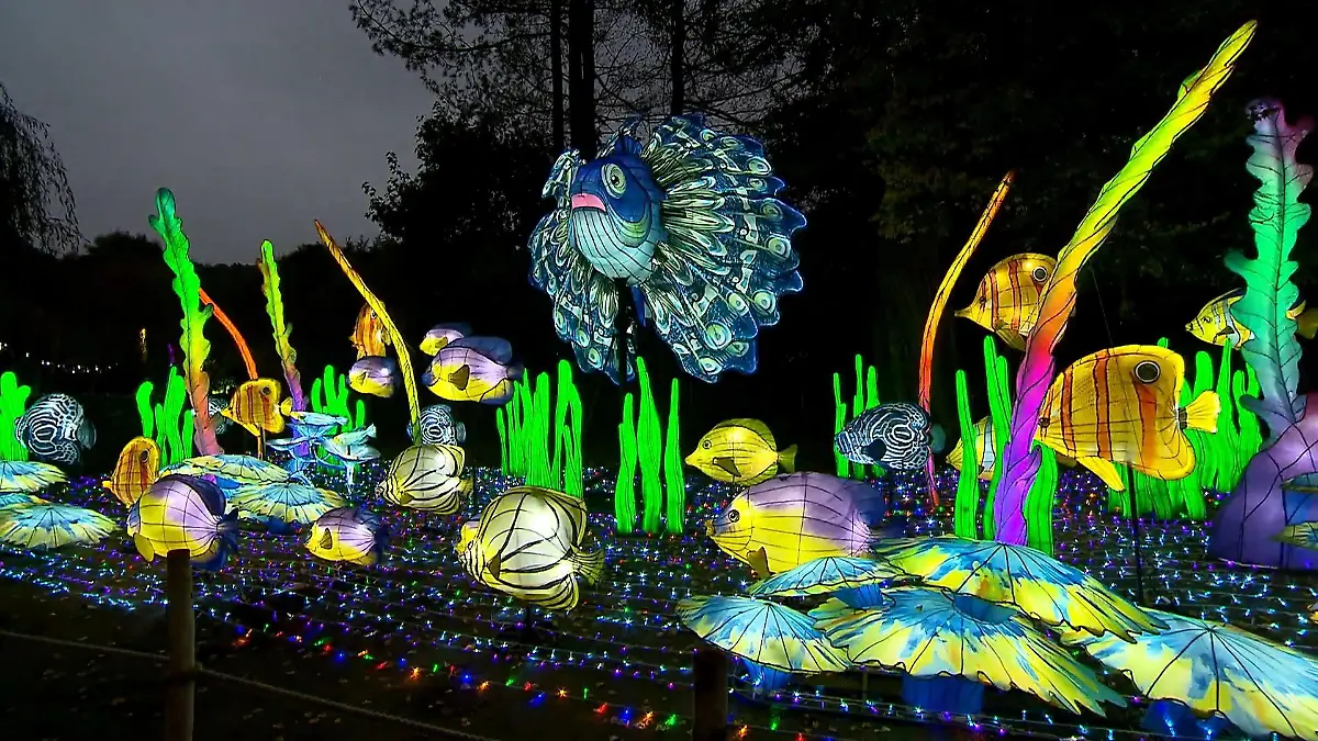 China Lights in Kleve Lichtspektakel am Niederrhein