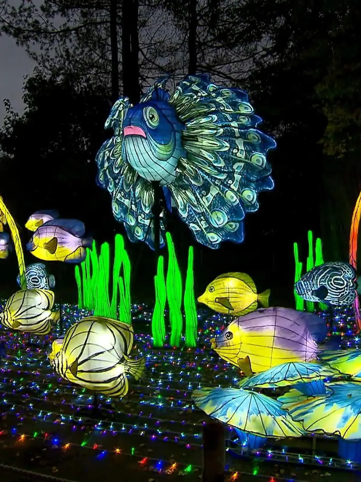 Bild zu: "China Lights in Kleve "