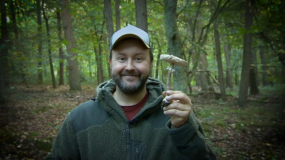 Pilze sammeln mit dem Experten Unterwegs mit Martin Maschka