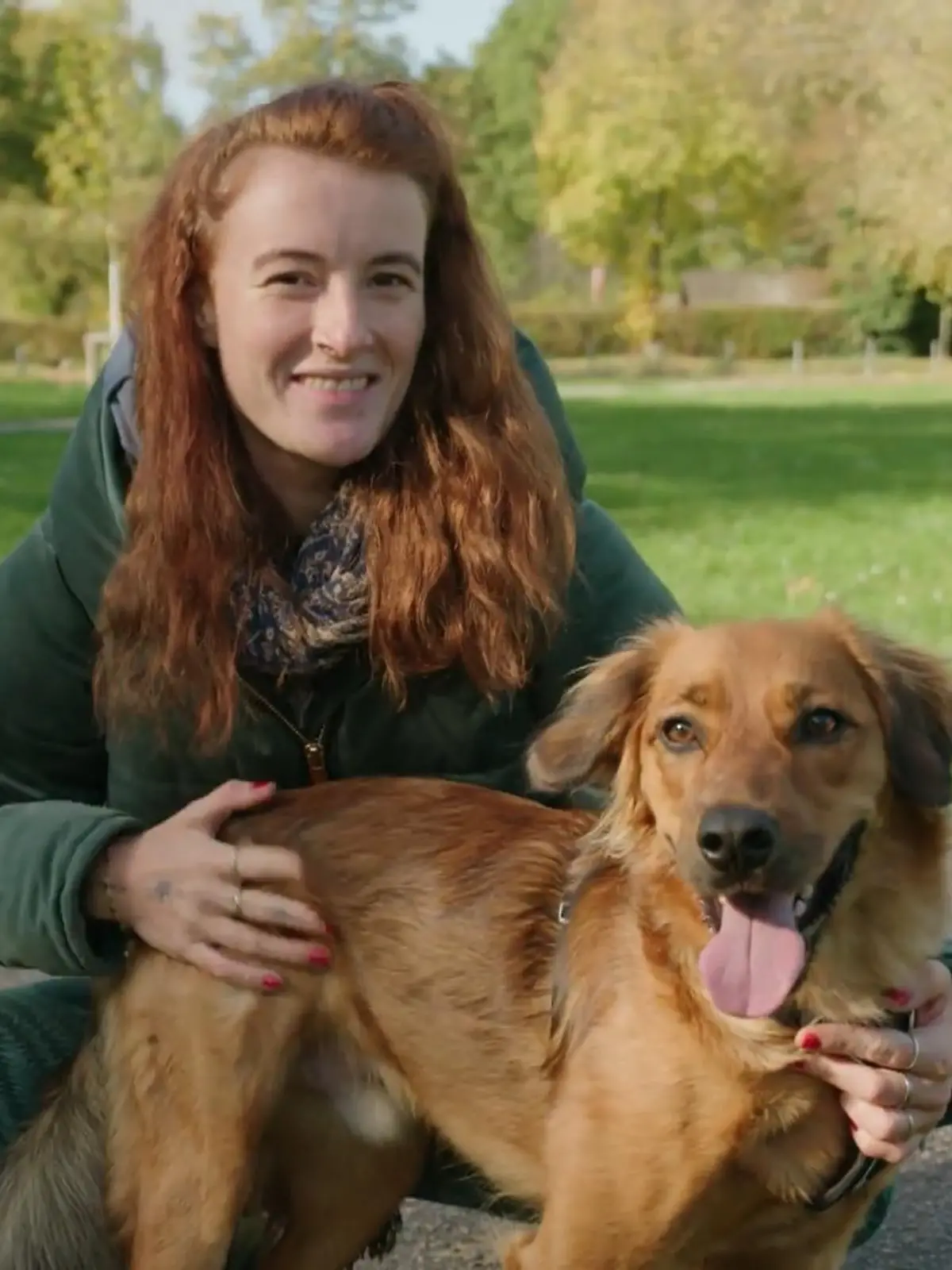 Hund und Halter Lookalikes