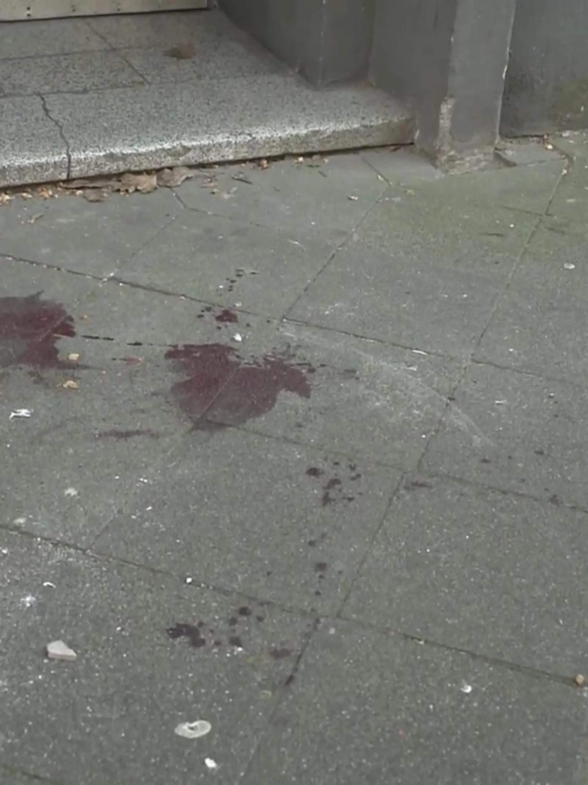 Bild zu: "Jugendliche sollen Mann erstochen haben"