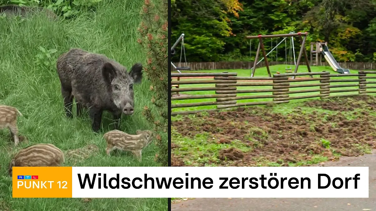 Sendung vom 10.10.2025