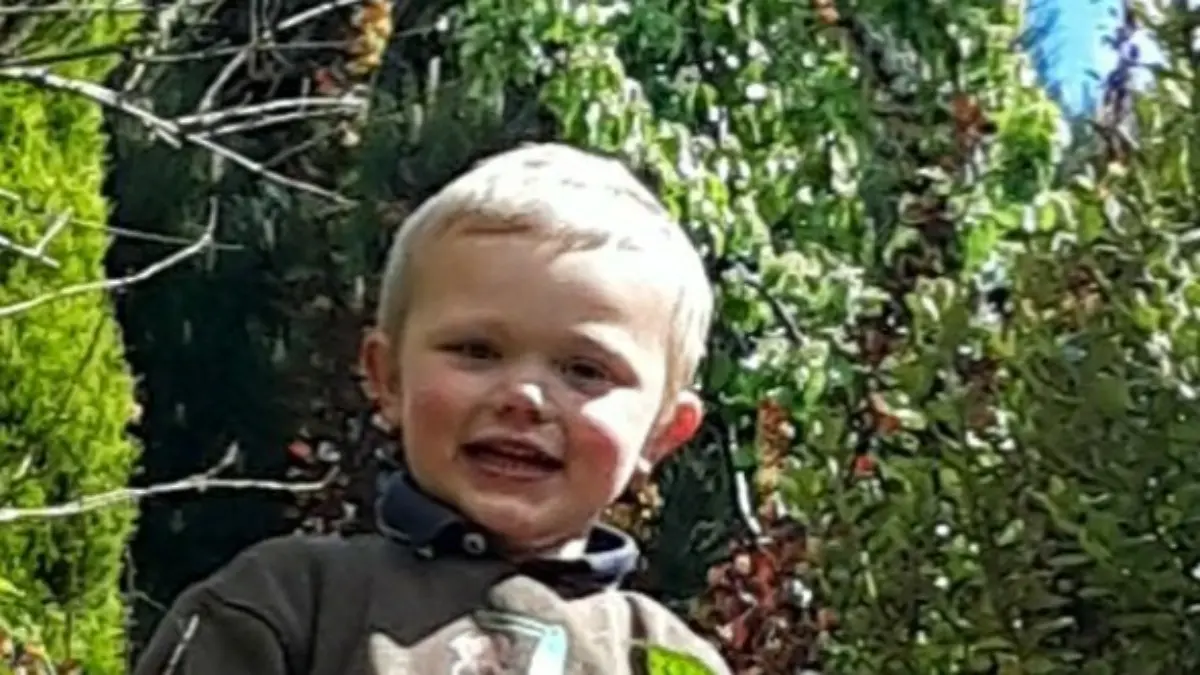 Daniel (3) wurde von den beiden Wachhunden tot gebissen. 