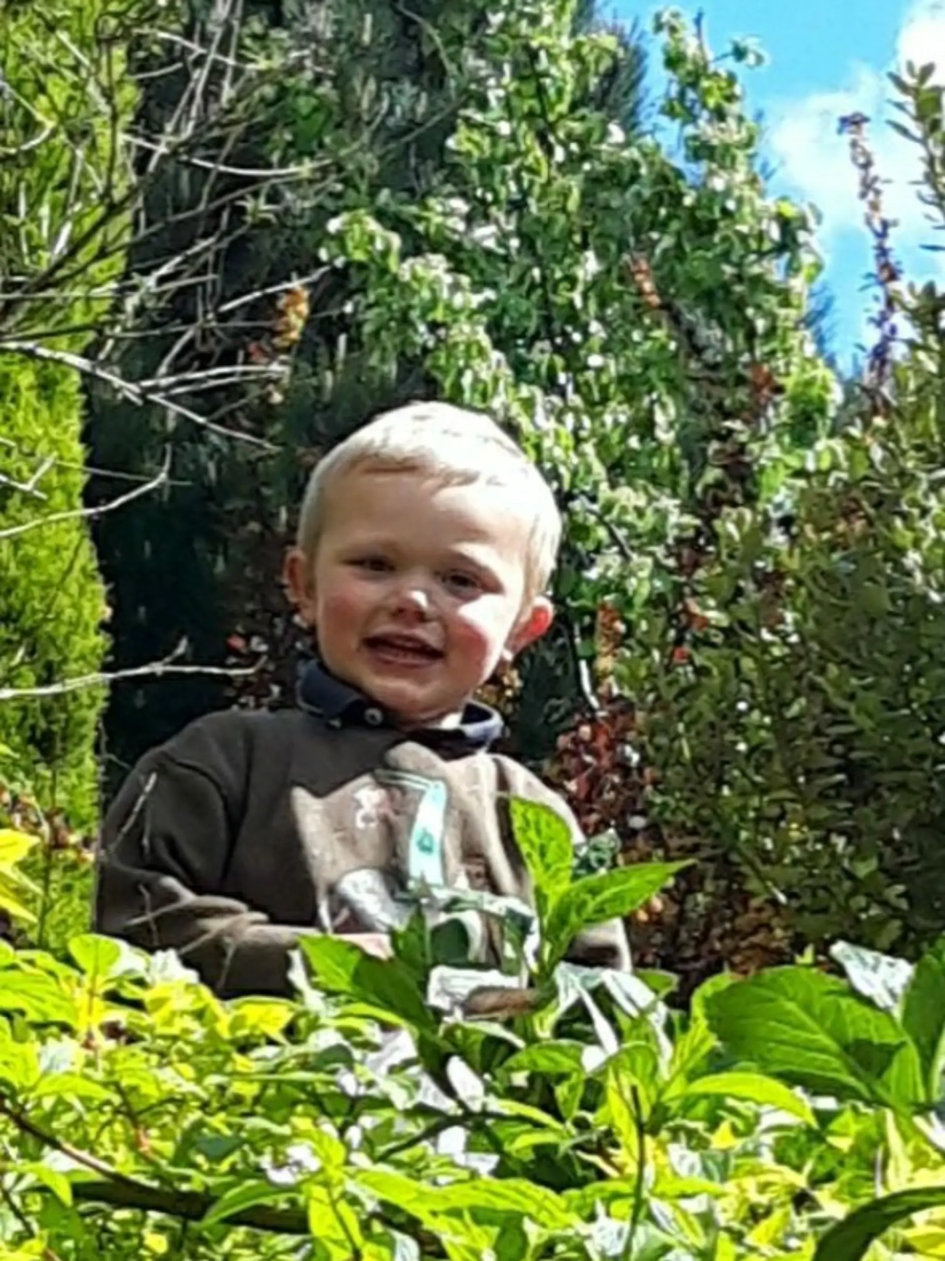 Daniel (3) wurde von den beiden Wachhunden tot gebissen. 
