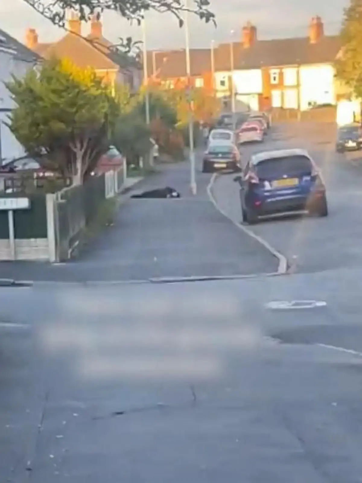 Bild zu: "Freunde lassen Alfie bewusstlos liegen – eine Mutter rettet ihn"